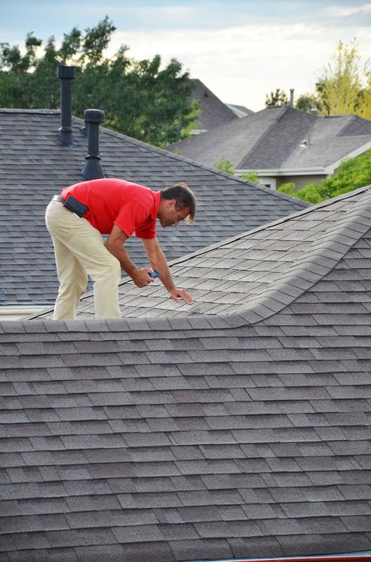 Roofing Service Provider 5